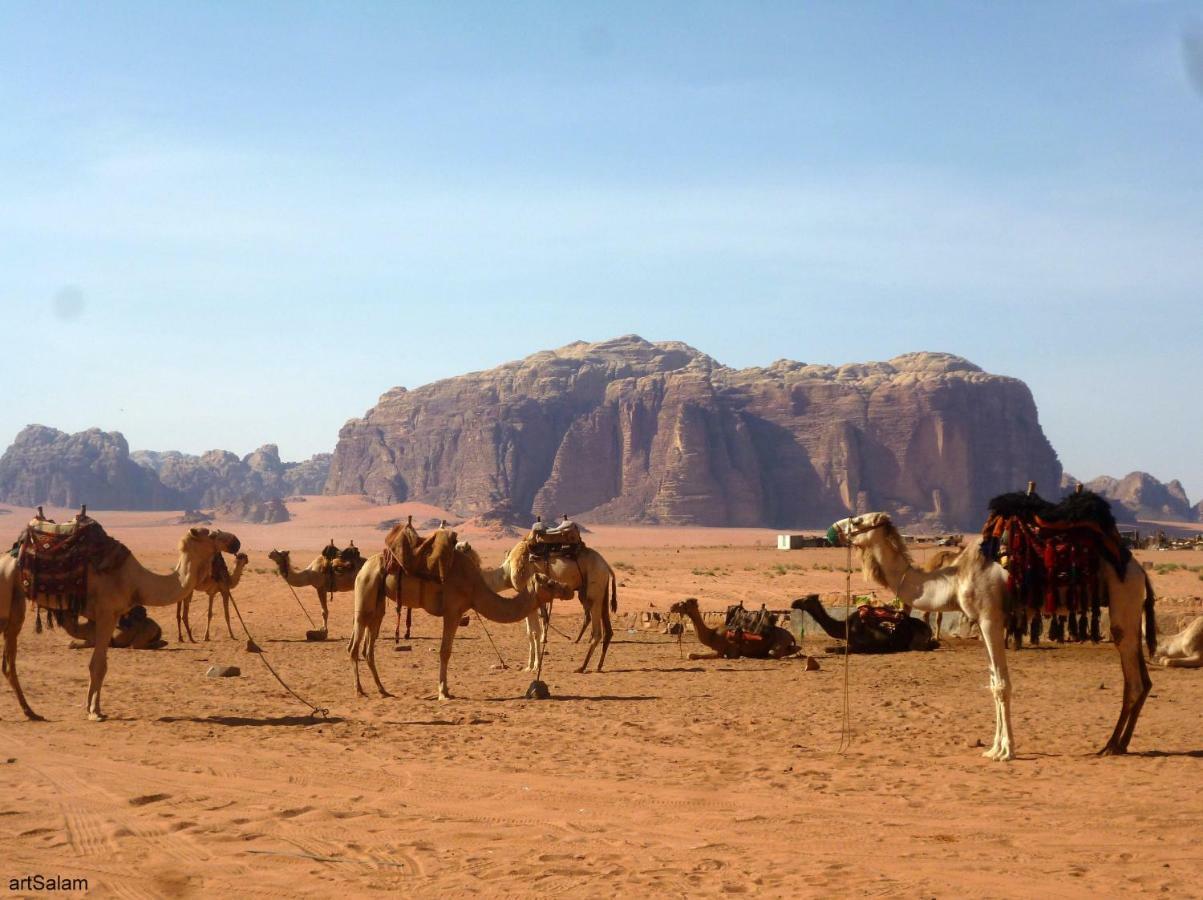 فندق Sunrise Camp وادي رم المظهر الخارجي الصورة