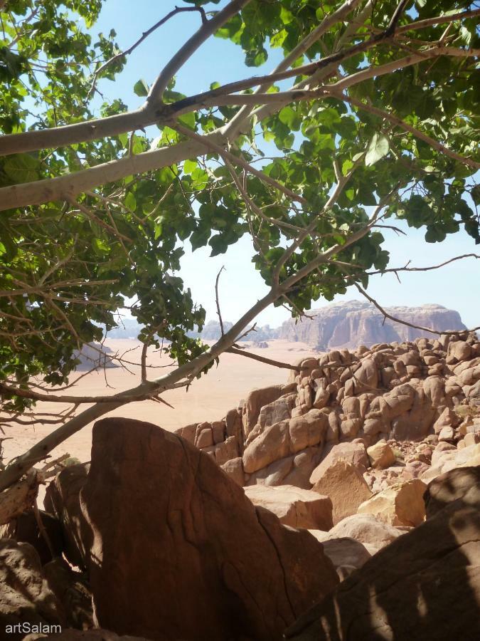 فندق Sunrise Camp وادي رم المظهر الخارجي الصورة