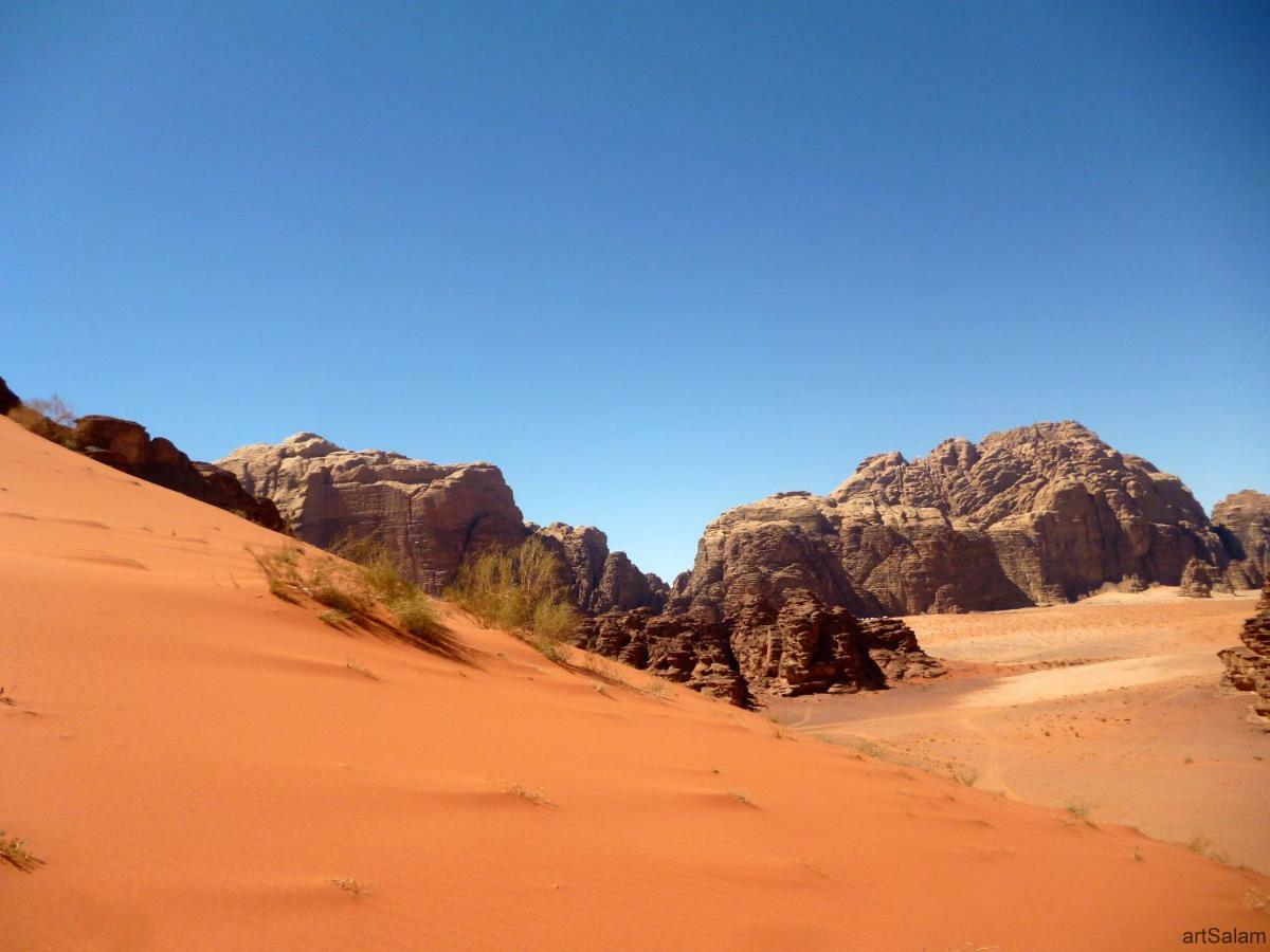 فندق Sunrise Camp وادي رم المظهر الخارجي الصورة